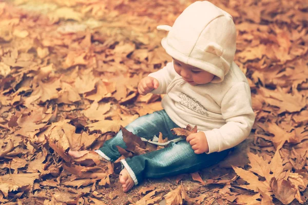 Aranyos Kis Baby Boy Szórakozás Őszi Parkban Imádnivaló Gyermek Öröm — Stock Fotó