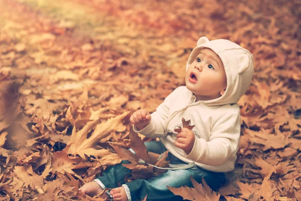Adorabile Bambino Seduto Terra Coperto Foglie Albero Secco Nella Calda — Foto Stock