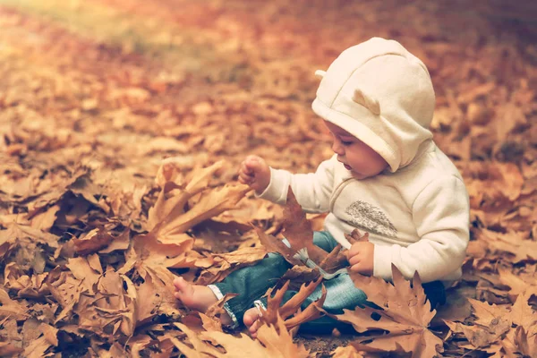 Söta Barn Har Roligt Skogen Liten Pojke Sitter Marken Och — Stockfoto