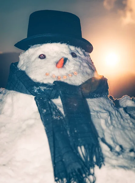 Retrato Close Grande Boneco Neve Sobre Fundo Céu Por Sol — Fotografia de Stock