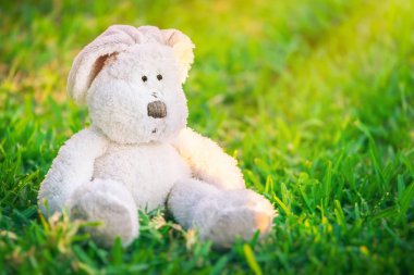 Sevimli küçük beyaz Paskalya tavşanı taze yeşil çim sahada oturan bahar güneşli gün, geleneksel Paskalya sembolü, Hıristiyan dini holida