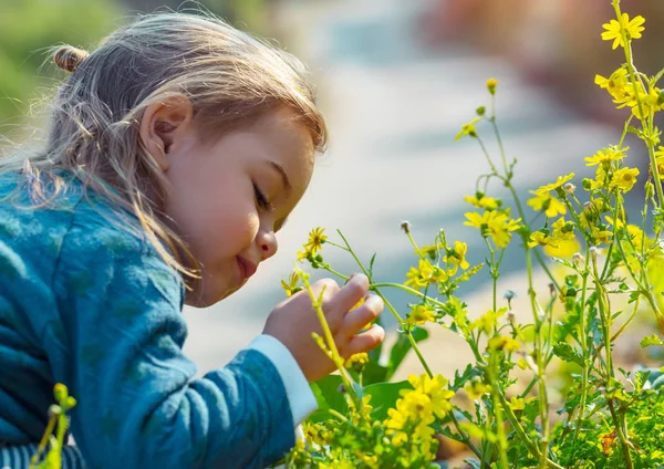 Μικρό αγόρι απολαμβάνοντας άρωμα λουλουδιών — Φωτογραφία Αρχείου