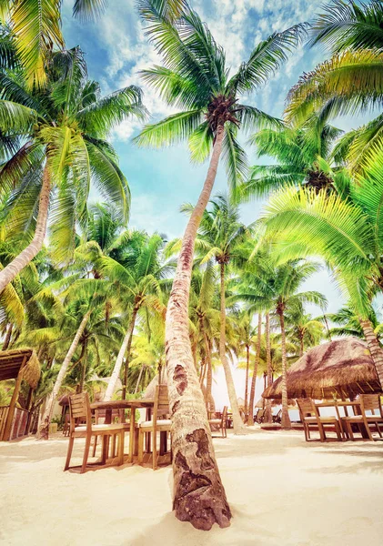Tropical beach resort — Stock fotografie