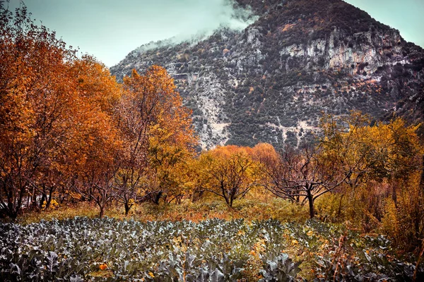 Geweldig bergachtig landschap — Stockfoto