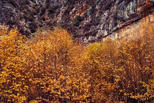 Schoonheid van de herfst — Stockfoto