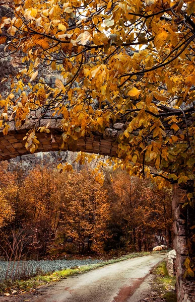 Herfstlandschap — Stockfoto