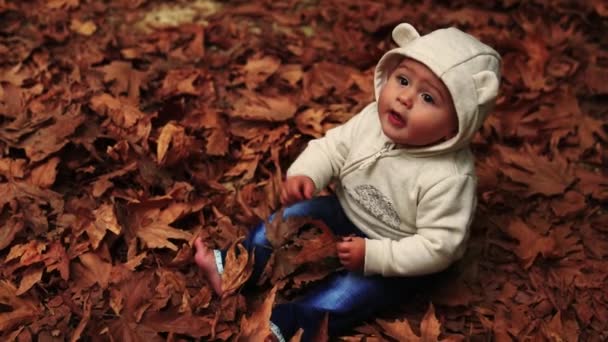 Petit garçon dans le parc d'automne. Vidéo Full HD — Video