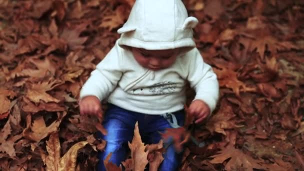 Niño en el parque de otoño. Vídeo Full HD — Vídeos de Stock