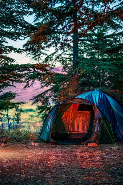 Σκηνή Κάμπινγκ Στέκεται Στο Όμορφο Δάσος Cedars Στα Βουνά Άνθρωποι — Φωτογραφία Αρχείου