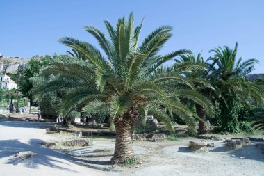 Yalnız hurma kum - güneşli bir günde, Yunanistan