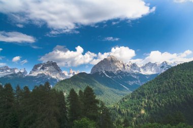 Armalar ve köknar ağaçları - bir yaz günü ile dağ manzarası