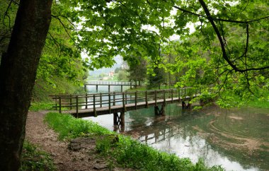 Köprü Gölü - doğada görünümü - yeşil, orman, park üzerinde