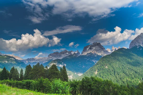 Berglandschap Met Toppen Sparren Een Zomerdag — Stockfoto