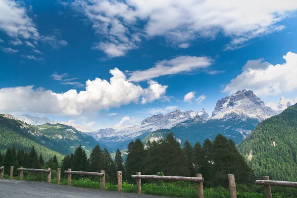 Krajobraz Górski Herbami Jodły Letnie Dni — Zdjęcie stockowe