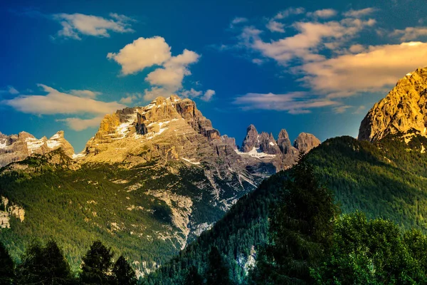 Berglandschap Met Toppen Sparren Een Zomerdag — Stockfoto