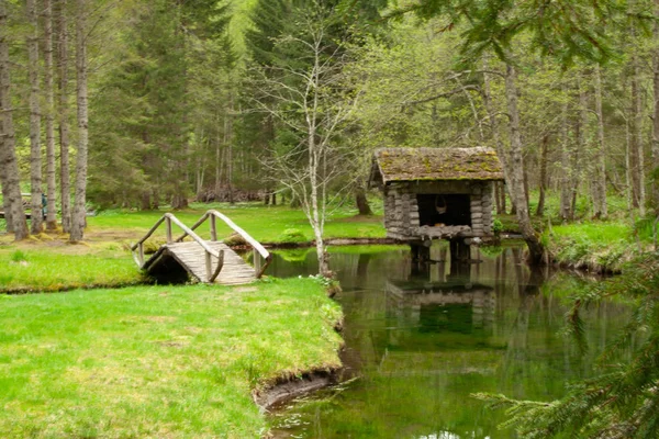 Paisagem Com Casa Água Ponte Madeira Árvores Verde — Fotografia de Stock