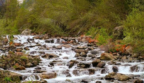 Paesaggio Con Acqua Che Scorre Montagna Alberi Verde — Foto Stock