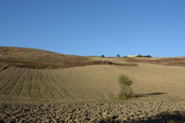 Ekimi, Campania, İtalya için arazi.