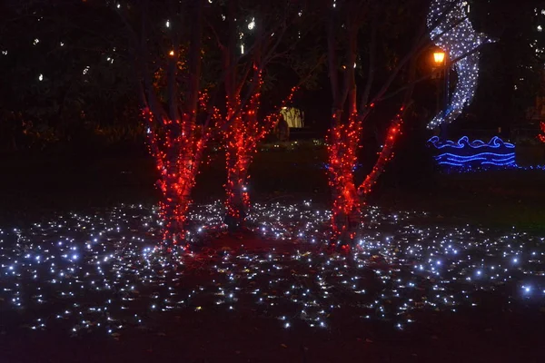 Italy Luci Artista Christmas Lights Show Salerno December 2018 — Φωτογραφία Αρχείου