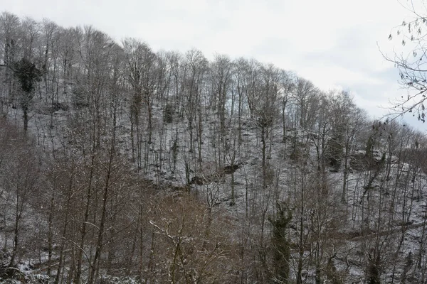 Sneeuw Berglandschap Campanië Calabrië Januari 2019 — Stockfoto