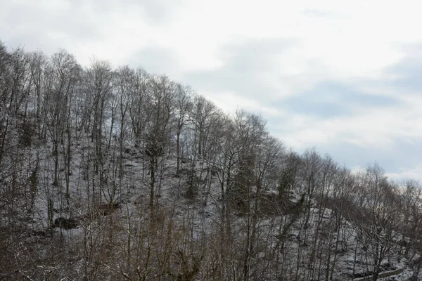 Sneeuw Berglandschap Campanië Calabrië Januari 2019 — Stockfoto