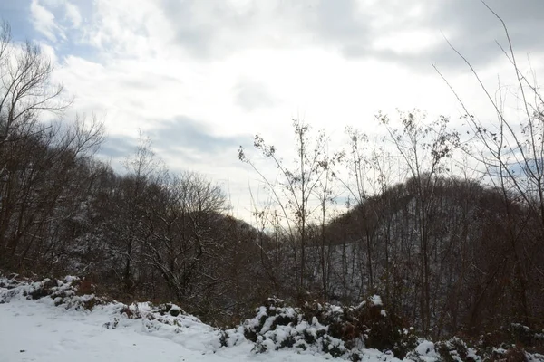 Sneeuw Berglandschap Campanië Calabrië Januari 2019 — Stockfoto