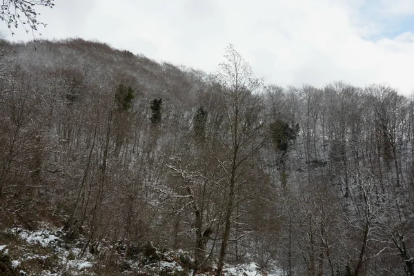 Sneeuw Berglandschap Campanië Calabrië Januari 2019 — Stockfoto