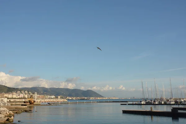 Widok Port Mieście Salerno Włochy Lutego 2019 — Zdjęcie stockowe