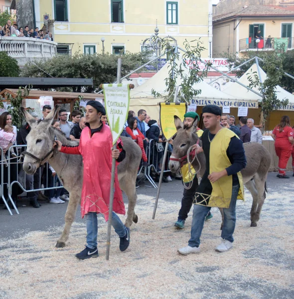 Italien Åsnetävling Medeltidsfestival San Cipriano Picentino Oktober 2019 — Stockfoto