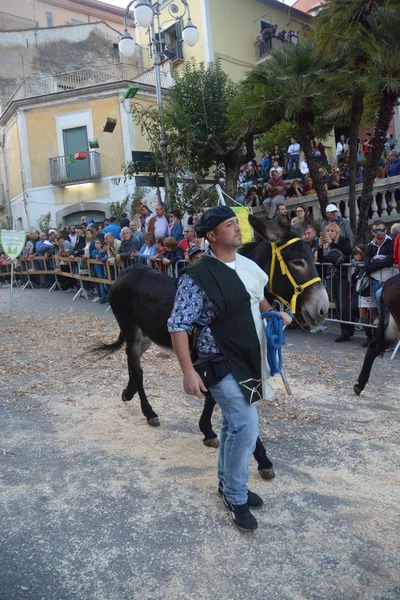 Italien Åsnetävling Medeltidsfestival San Cipriano Picentino Oktober 2019 — Stockfoto