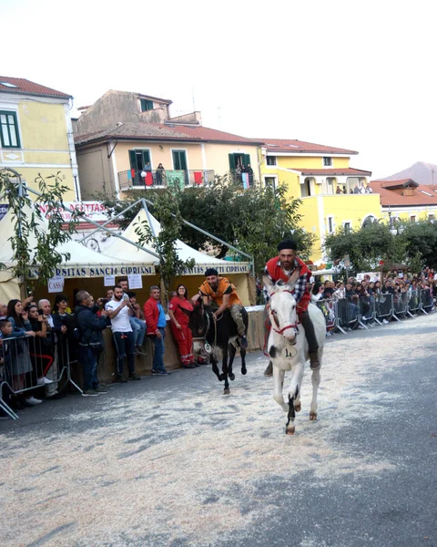 Italien Åsnetävling Medeltidsfestival San Cipriano Picentino Oktober 2019 — Stockfoto