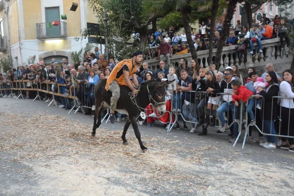 Ιταλία Γάιδαρος Μεσαιωνικό Φεστιβάλ San Cipriano Picentino Οκτωβρίου 2019 — Φωτογραφία Αρχείου