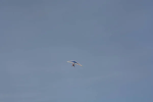 Italy Hang Glider Flight Capaccio Paestum May 2020 — Stock Photo, Image