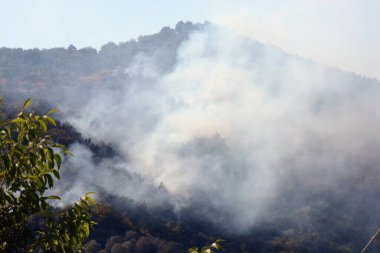 İtalya: Giffoni Valle Piana 'da dağ yangını, Güney İtalya, 9 Ağustos 2025.