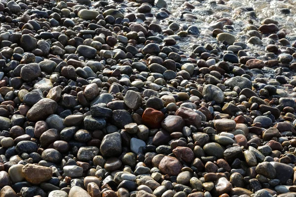 Балтійських Покритий Камінці Можна Побачити Одному Пляжів Kolobrzeg Польща — стокове фото