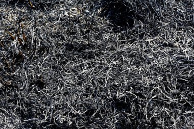 Kül yanmış çim kalan yakın gösterilir