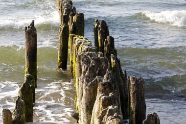 Kolobrzeg, Polonya Baltık Denizi plajlarına yanında ahşap groyne