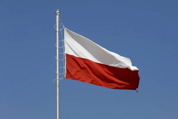 The Polish flag is seen in the a wind day against the background of the blue sky. This flag is seen above the beach in Kolobrzeg , Poland