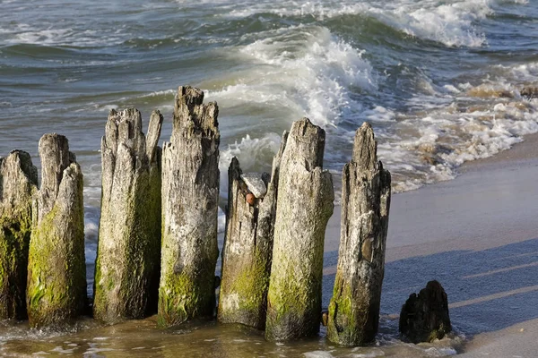 Деревянный Гройн Одном Пляжей Балтийского Моря Колобжеге Польша — стоковое фото