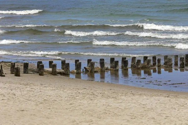 Acești Stâlpi Groși Lemn Sunt Adânc Ciocniți Fundul Mării Pentru — Fotografie, imagine de stoc