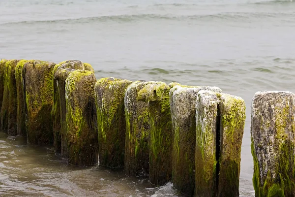 Die Enden Dicker Holzpfähle Ragen Über Die Wasseroberfläche Hinaus Man — Stockfoto