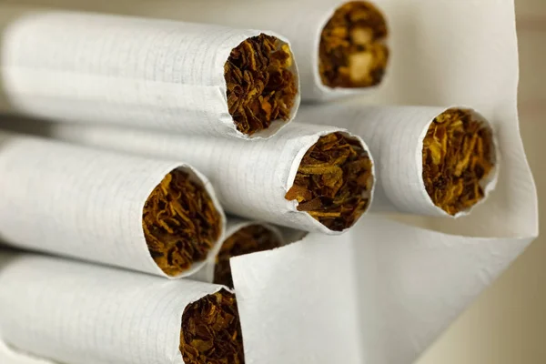 Vários Cigarros Sem Filtro Estão Caixa Aberta — Fotografia de Stock