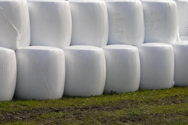 Agricultural Crops Already Packed Plastic Bales Long Term Storage Subsequent Royalty Free Stock Images