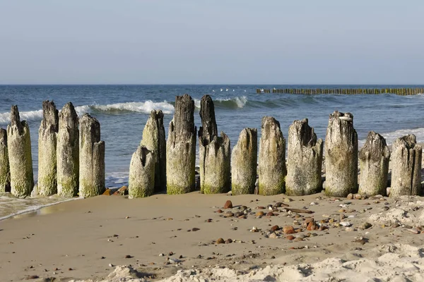 Vechea apă spartă din lemn de pe coasta Mării Baltice — Fotografie, imagine de stoc