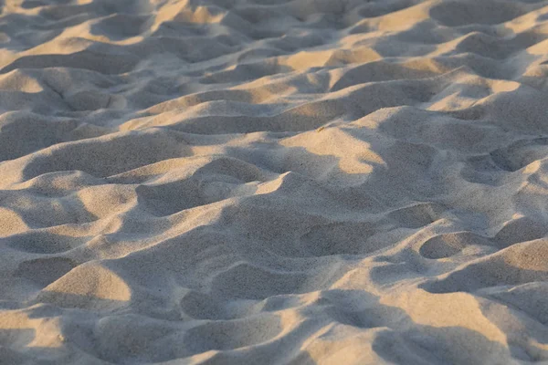 Deniz sahilde Sandy arka plan kurdu