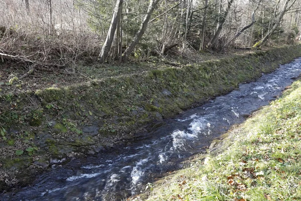 Il flusso veloce di un fiume di montagna come a Zakopane — Foto Stock