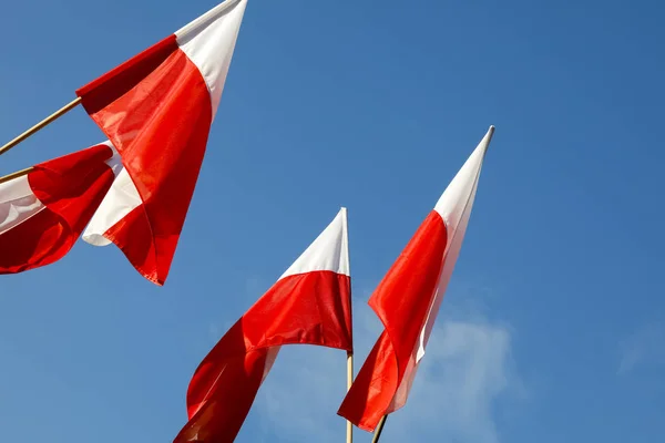 As bandeiras da Polônia estão contra o céu azul — Fotografia de Stock