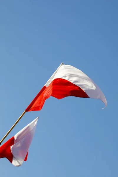 Drapeaux blancs et rouges de Pologne — Photo