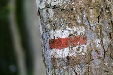 Turist izi renkli bir işareti 