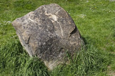 Bir taş ya da daha doğrusu çimenler üzerinde bir kaya